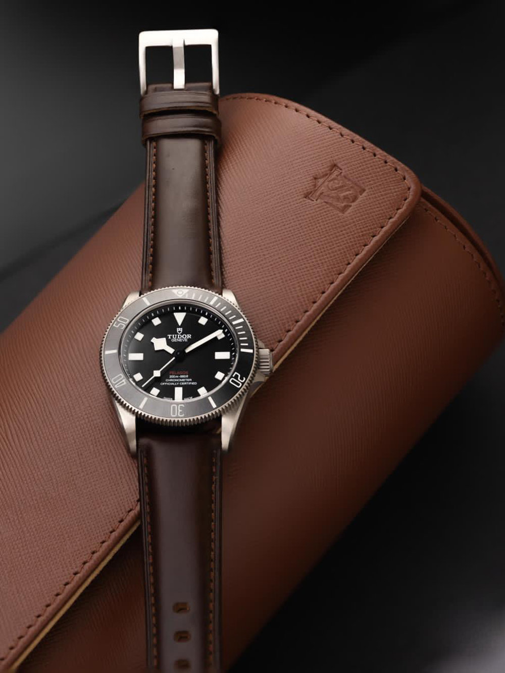 Hemsut Watch Bands Genuine Lea - Leather Strap Quick Release 리뷰 및 가격