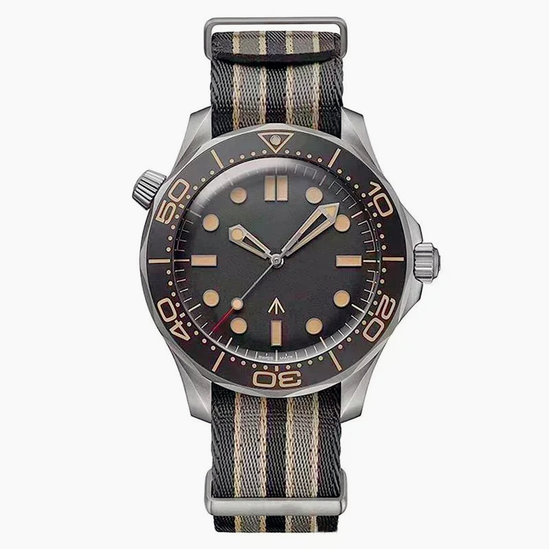 Timeless 42mm Premium Automati - Canvas Strap Watch 리뷰 및 가격